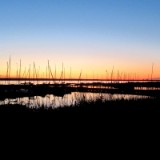 2505F 127 Am Duemmer